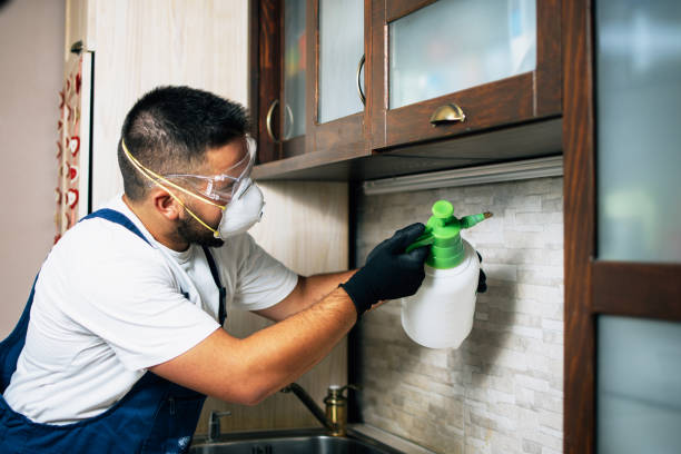 Best Mosquito Control Services  in Bartlett, TN