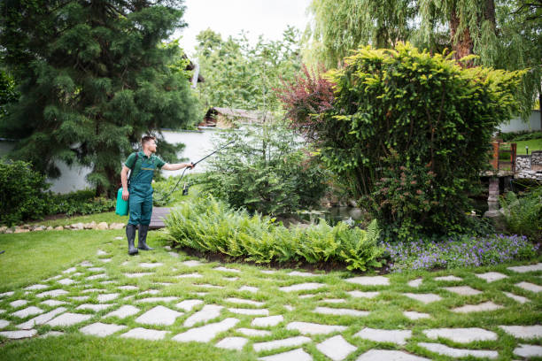 Best Exterminator Services  in Bartlett, TN