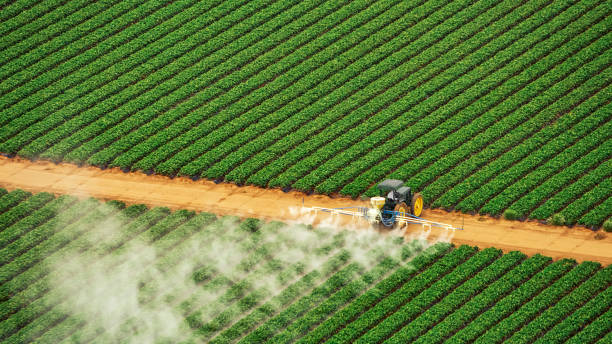 Best Best Pest Control Companies  in Bartlett, TN