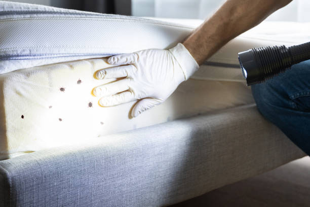 Best Pest Control Treatment  in Bartlett, TN