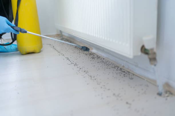 Best Pest Control Near Me in Bartlett, TN
